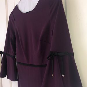 never worn! Plum dress - fall must have!!